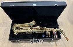 Alpine Alto Saxophone With Accessories, Brass, Woodwind, Carrying Case