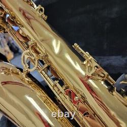 Antigua Tenor Saxophone (LT0110973) with Gator Case
