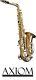 Axiom Tenor Saxophone Beginner Tenor Sax for Student with Case 2 Year Warranty