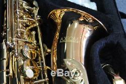 Axiom Tenor Saxophone Beginner Tenor Sax for Student with Case 2 Year Warranty