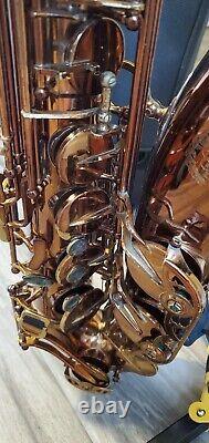 Kessler Custom Sonus Tenor Saxophone With Gator Case And Vandoren V16