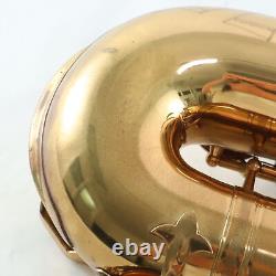Lucerne (Dolnet) Tenor Saxophone SN 82293 EXCELLENT! ROBERT HOWE COLLECTION