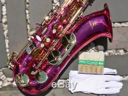 Pink Tenor Sax Brand New STERLING Bb Saxophone NEW Case and Accessories