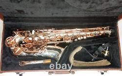 Power Beat Alto Saxophone N55015