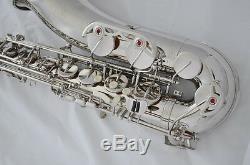 Professional TAISHAN Silver Nickel Bb Tenor Saxophone low B to high F# with case