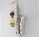 Professional TaiShan Tenor Saxophone Silver Sax B-Flat With Case Metal Mouth