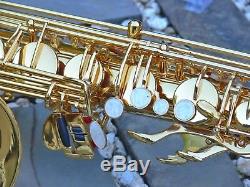 STERLING Bb Tenor Sax Brand New Saxophone With Case and Accessories