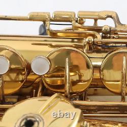Selmer Paris Mark VI Professional Tenor Saxophone SN 215462 ORIGINAL LACQUER