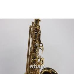 YANAGISAWA T-50 Tenor Saxophone with Case Maintenance require Shipped from Jp