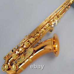 Yanagisawa T-WO2 Tenor Sax Saxophone Bronze Brass With Hard Case Bronze