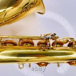 Yanagisawa Tenor Saxophone T-500 With Hard Case